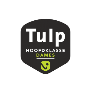 Tulp